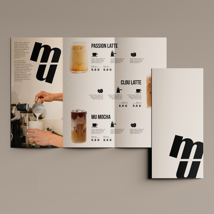 Tri-fold Matte Brochure x2,500